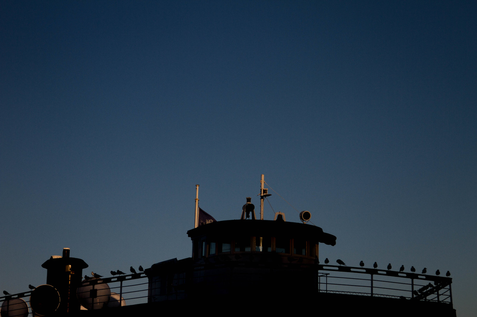 Gulls perched evenly along the railing of a silhouetted ship's wheelhouse against a deep blue dusk sky.