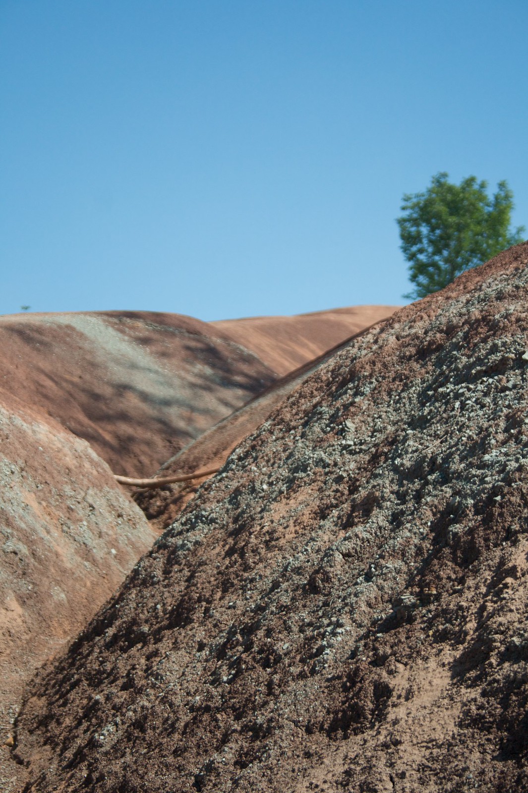 Eroded red and grey clay badlands hills with a lone green tree against a clear blue sky.