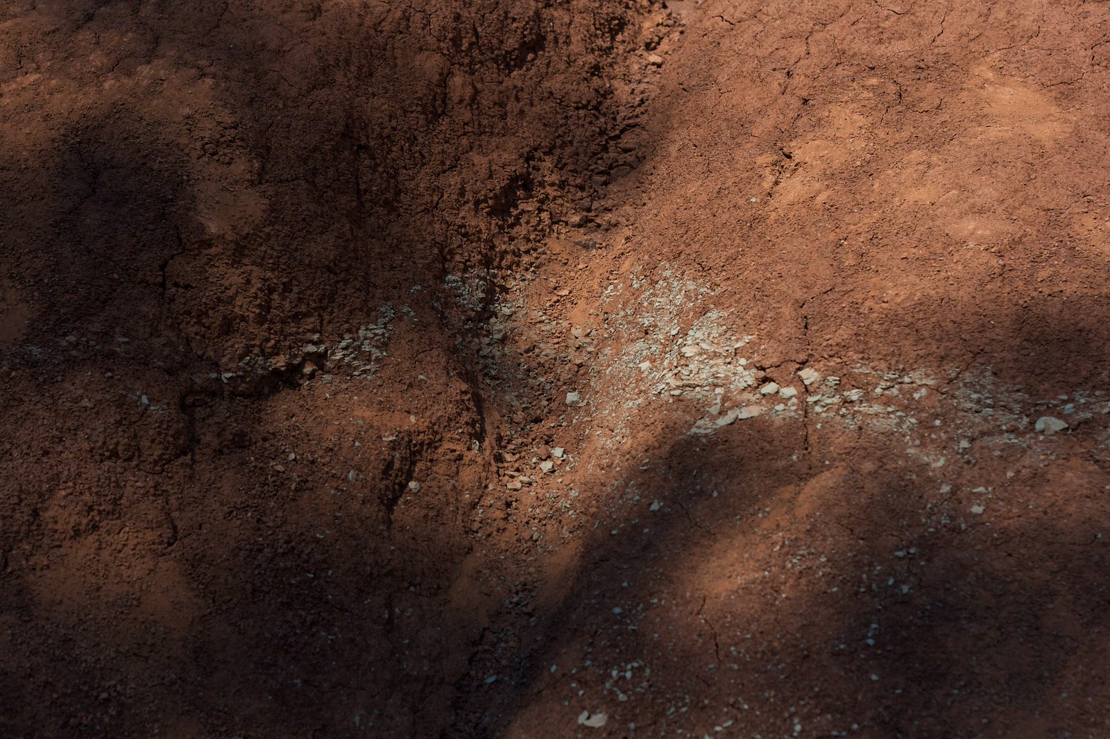 Cracked reddish-brown badlands clay streaked with pale gravel, half in deep shadow.