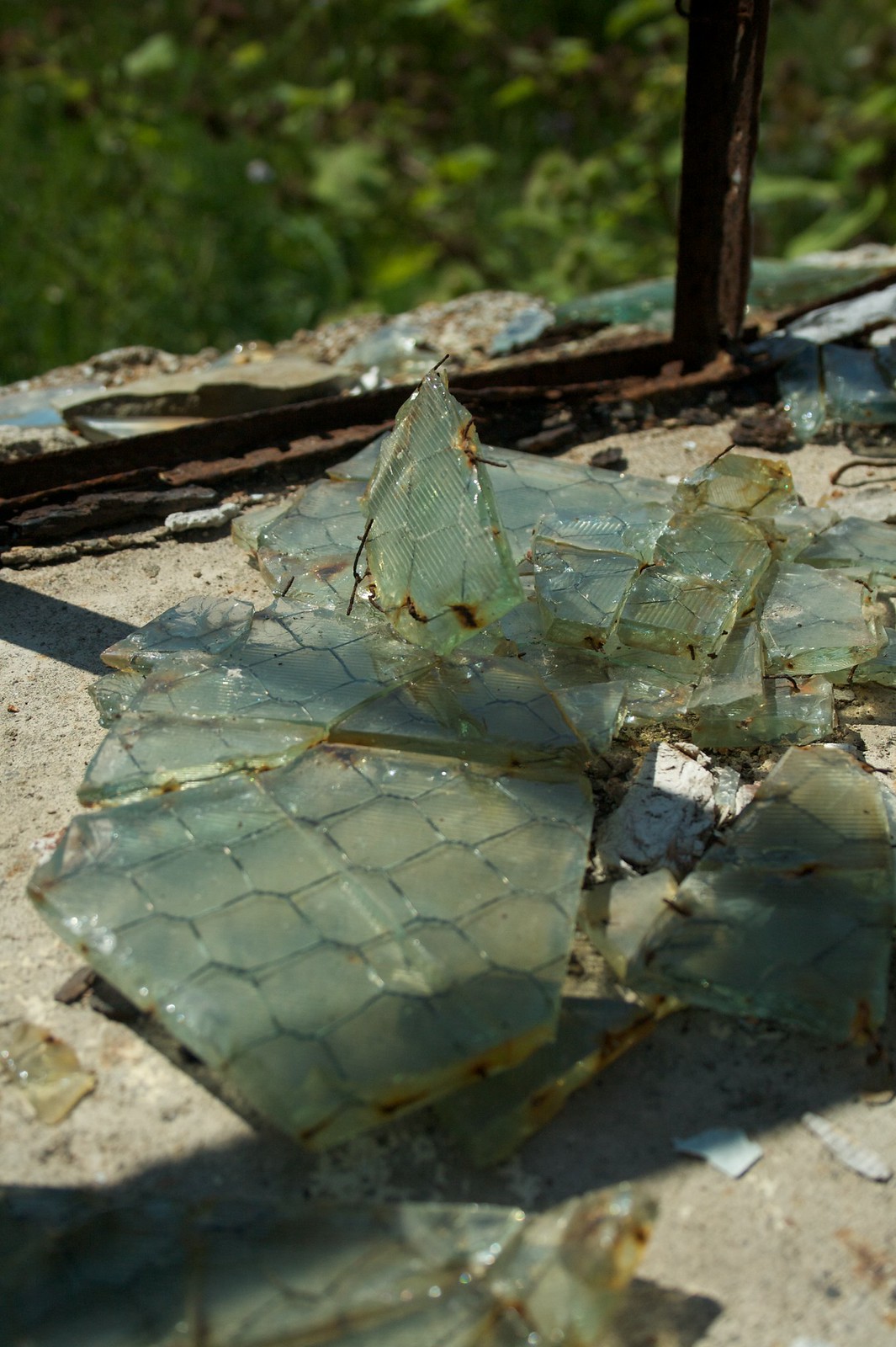 Shattered shards of green wire-mesh safety glass piled on a windowsill by a rusted frame, greenery behind.