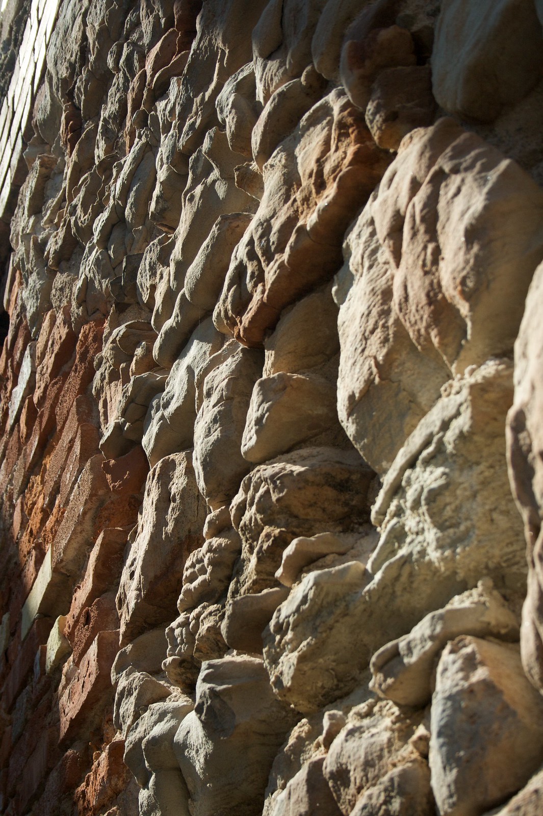 Close-up of a weathered sandstone rock wall with knobby tan and rust-red textured formations in raking light.