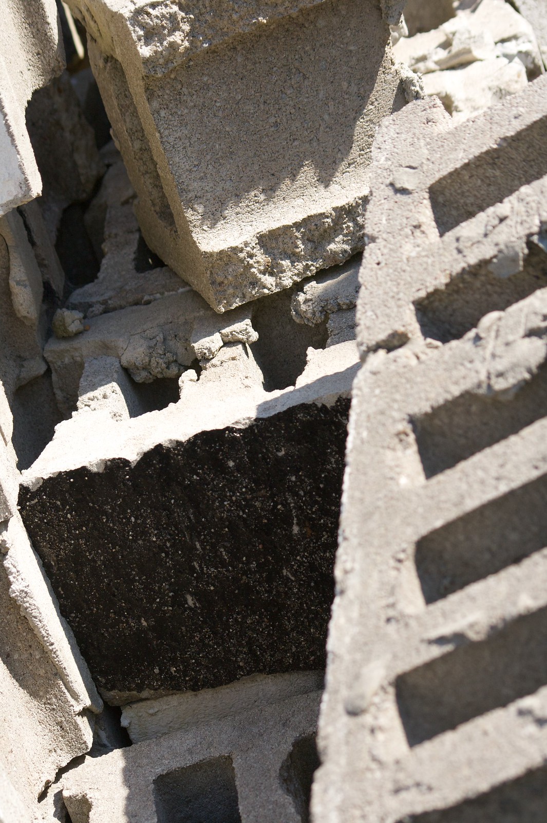 Close-up of weathered gray concrete cinder blocks stacked in harsh sunlight, one hollow filled with dark soil.