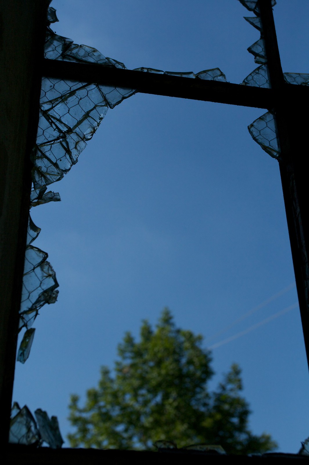 Shattered wire-mesh glass in a broken window frame against blue sky with a tree below.