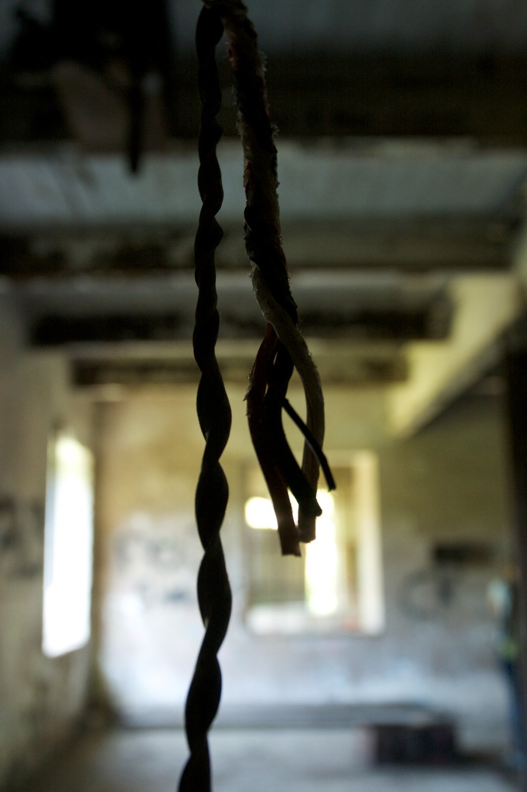Frayed twisted electrical wires dangle in the foreground of a dim, abandoned building interior with a sunlit doorway beyond.