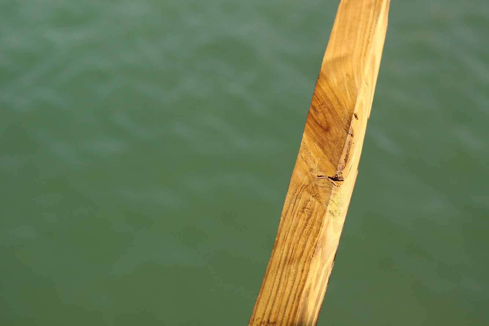 Close-up of a weathered wooden pole rising diagonally against calm green water.