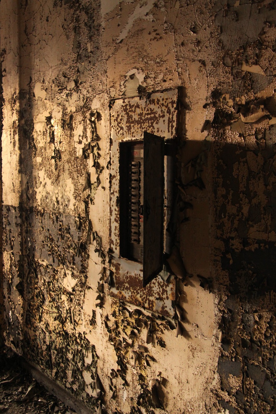 Rusted, open electrical breaker panel set into a wall of heavily peeling paint in an abandoned industrial office.