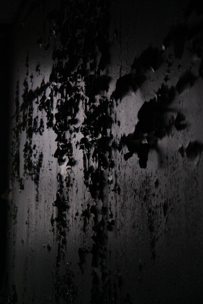 Paint peeling and curling off a dark, decaying wall in the dim light of an abandoned building