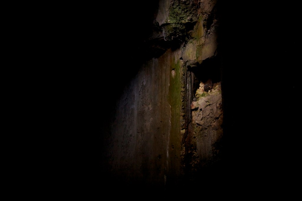 A dimly lit, moss-covered decaying concrete wall crumbling in deep shadow.