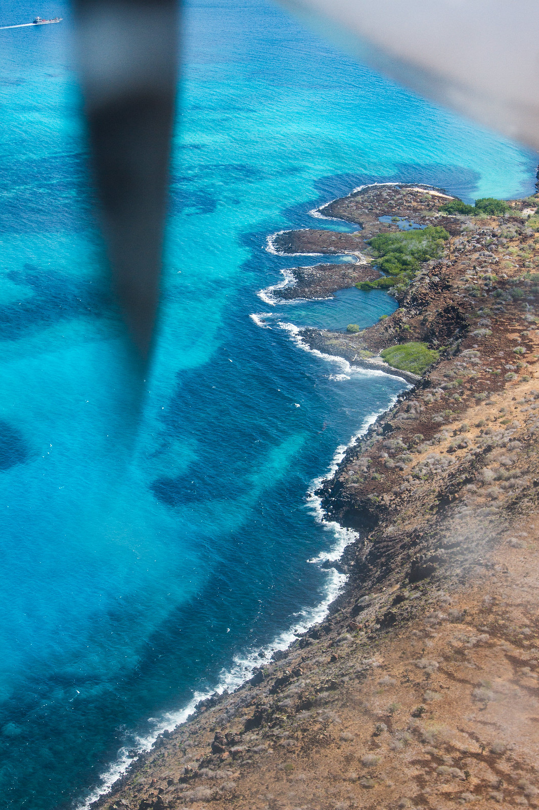 Aerial view of a rugged volcanic coastline meeting bright turquoise water, seen past a plane's wing strut.