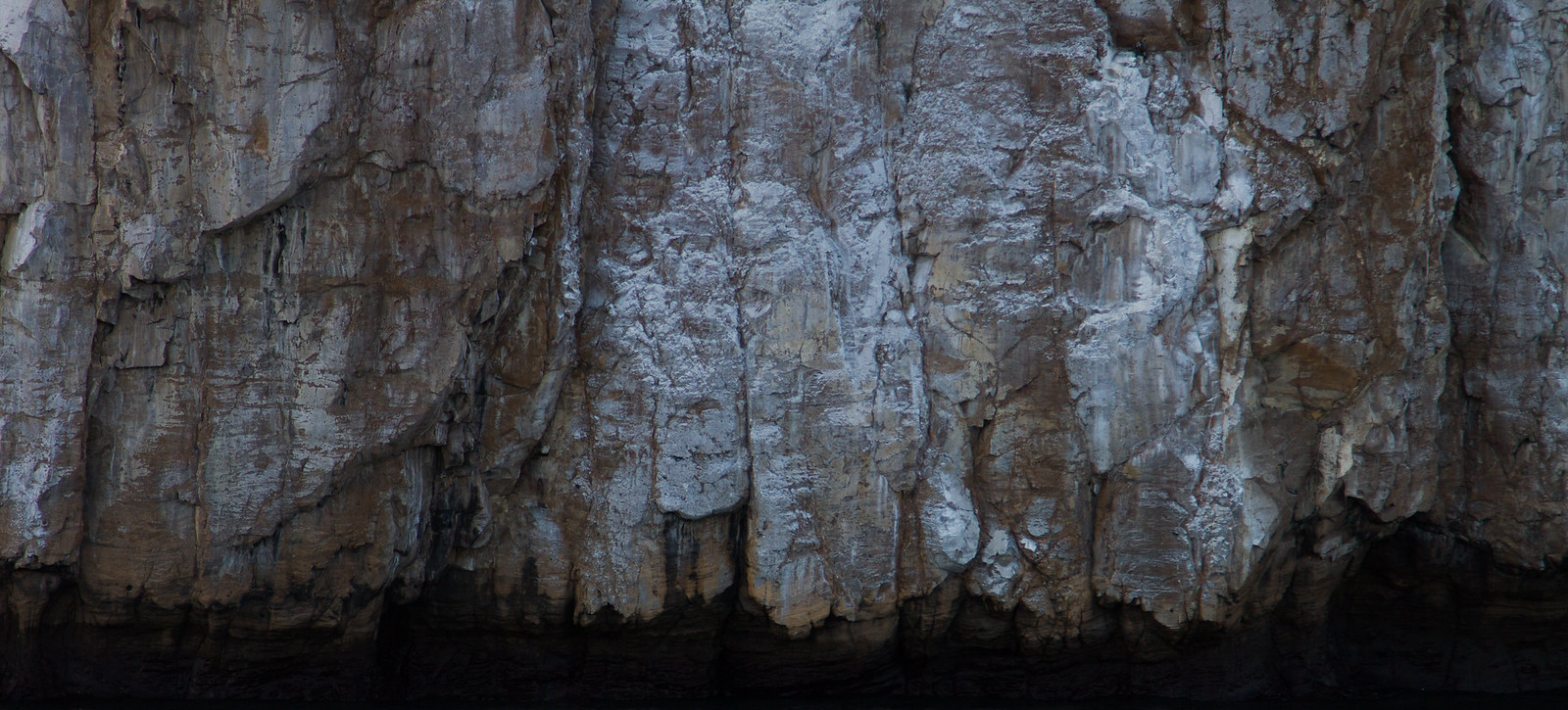 A rugged rock cliff face streaked with pale guano rising from dark shadowed water.