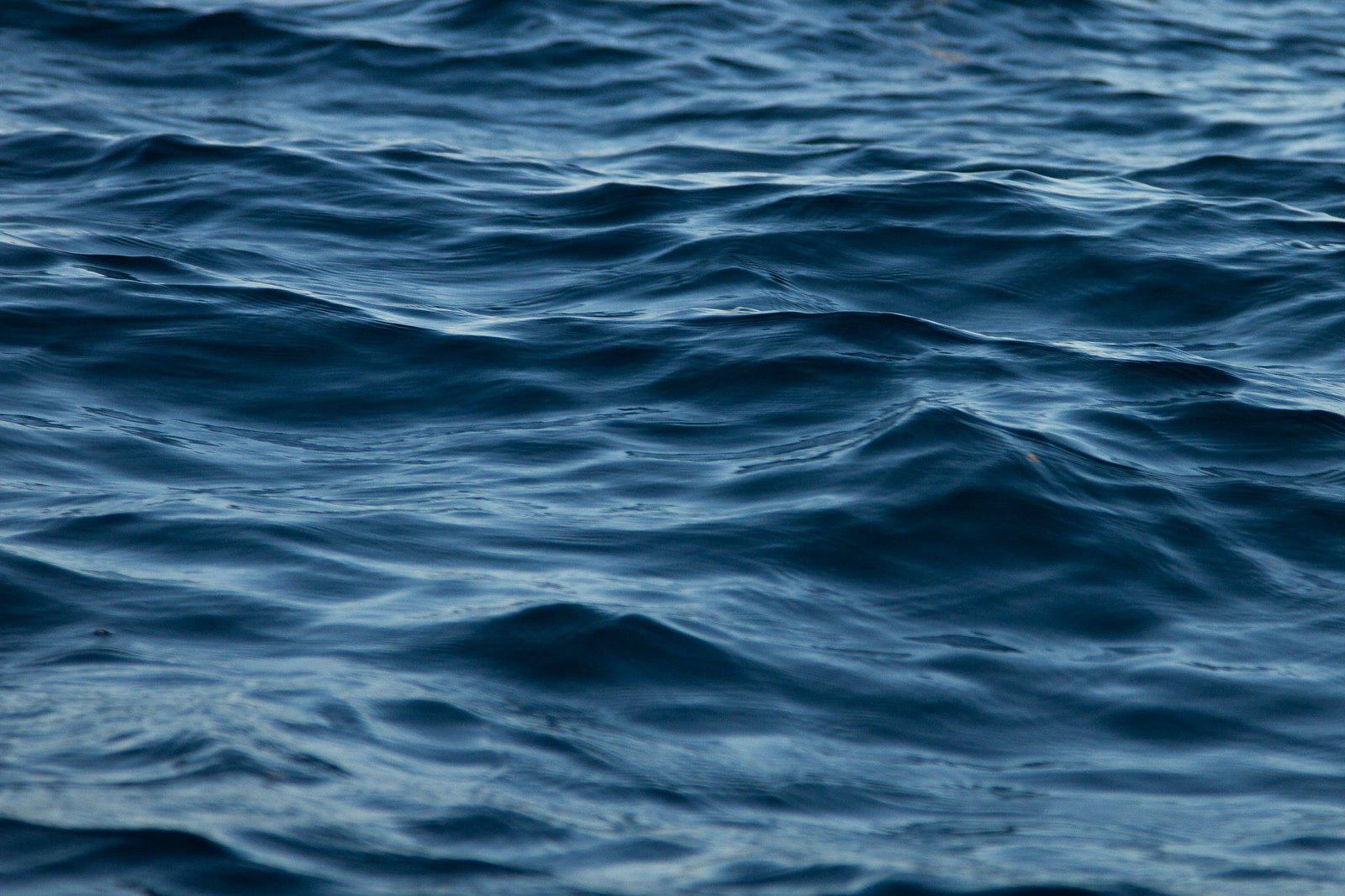 Gentle deep blue ocean waves rippling across the water's surface.