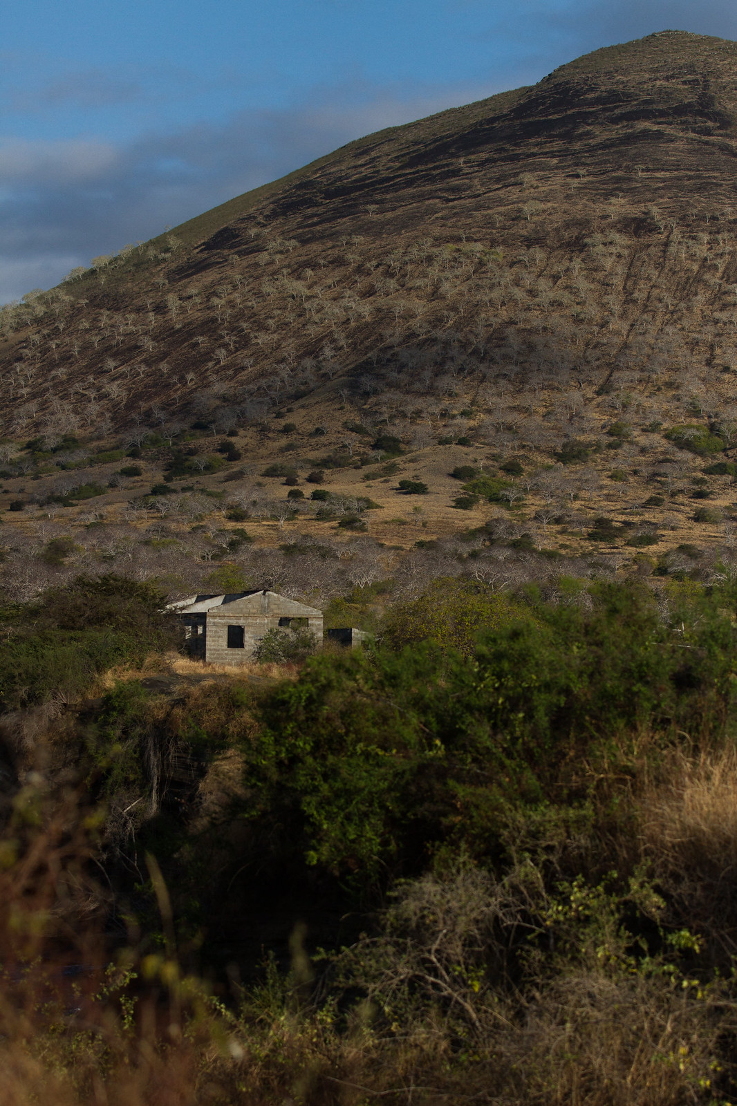 A weathered concrete house sits amid dense green scrub below a dry, sunlit hillside.