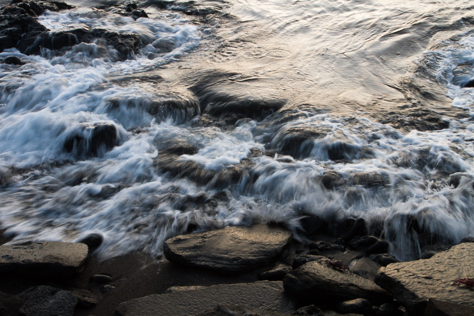 Foamy waves wash over dark volcanic rocks on a shore, with red crabs at the water's edge.