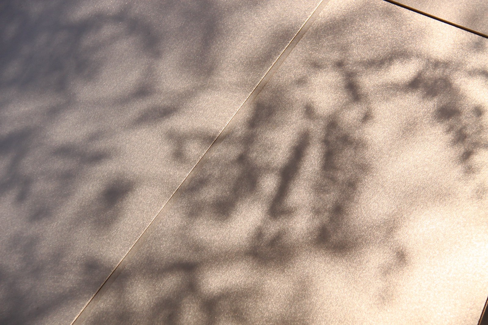Dappled tree-branch shadows falling across a warm, brushed-metal panel wall with a diagonal seam