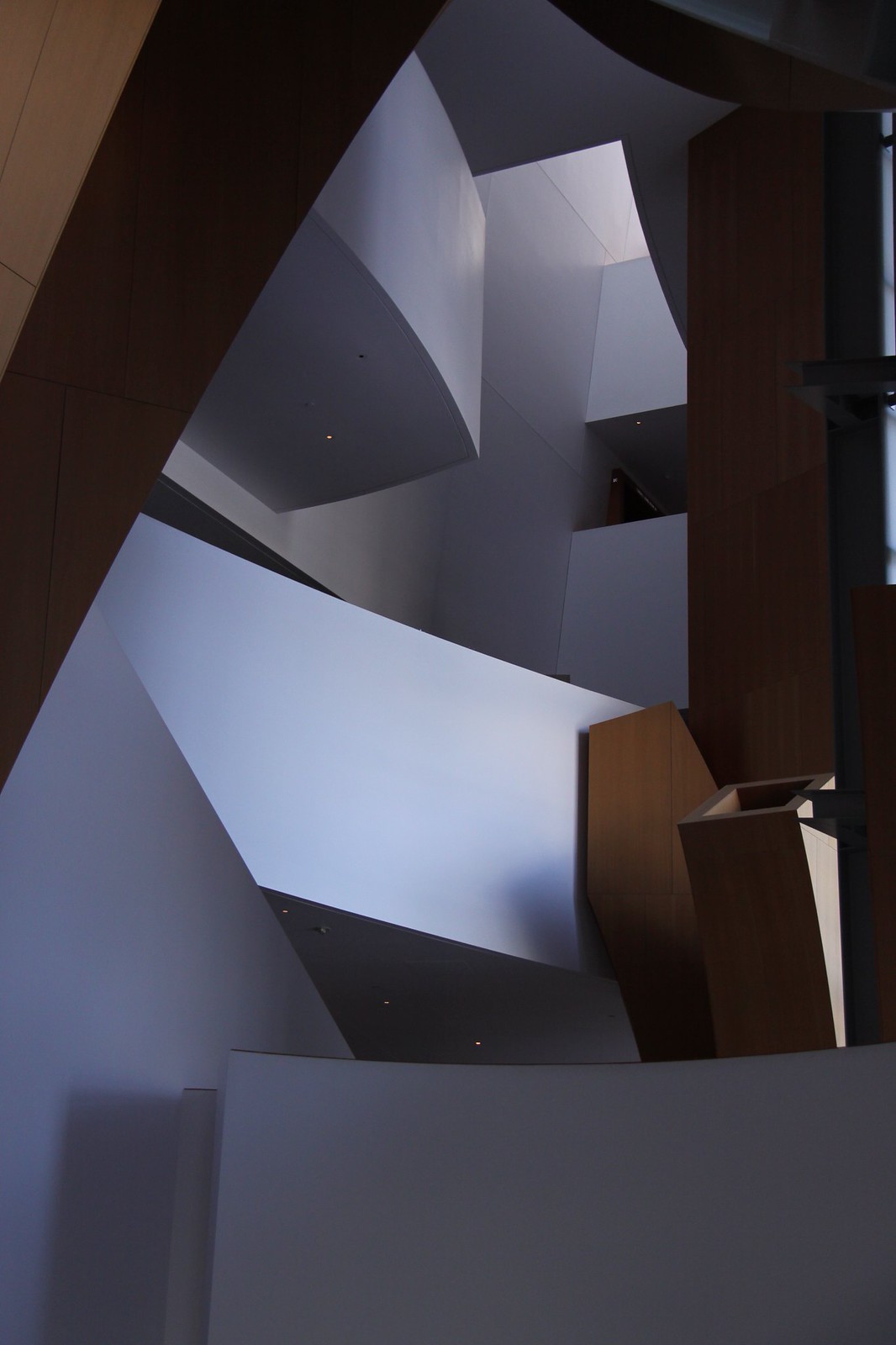 Angular white plaster and warm wood surfaces of a Frank Gehry lobby interior sculpting light and shadow.