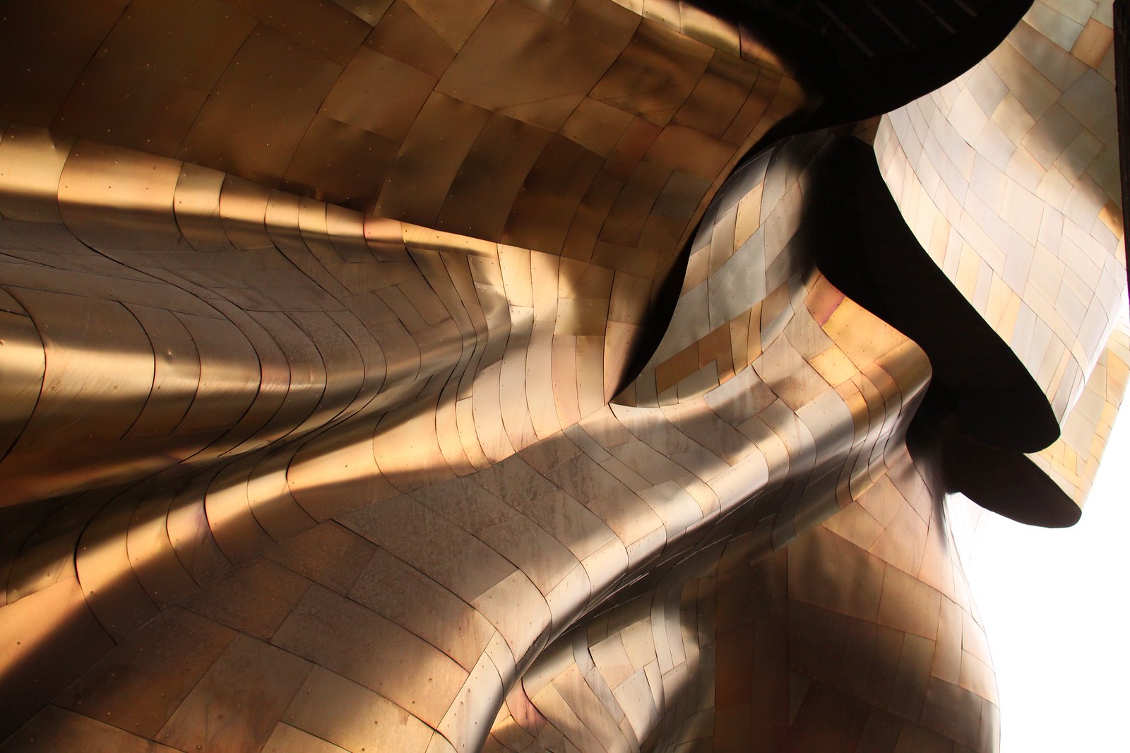 Sunlight sweeps across the curving gold and bronze metal-shingled skin of Gehry's Museum of Pop Culture.