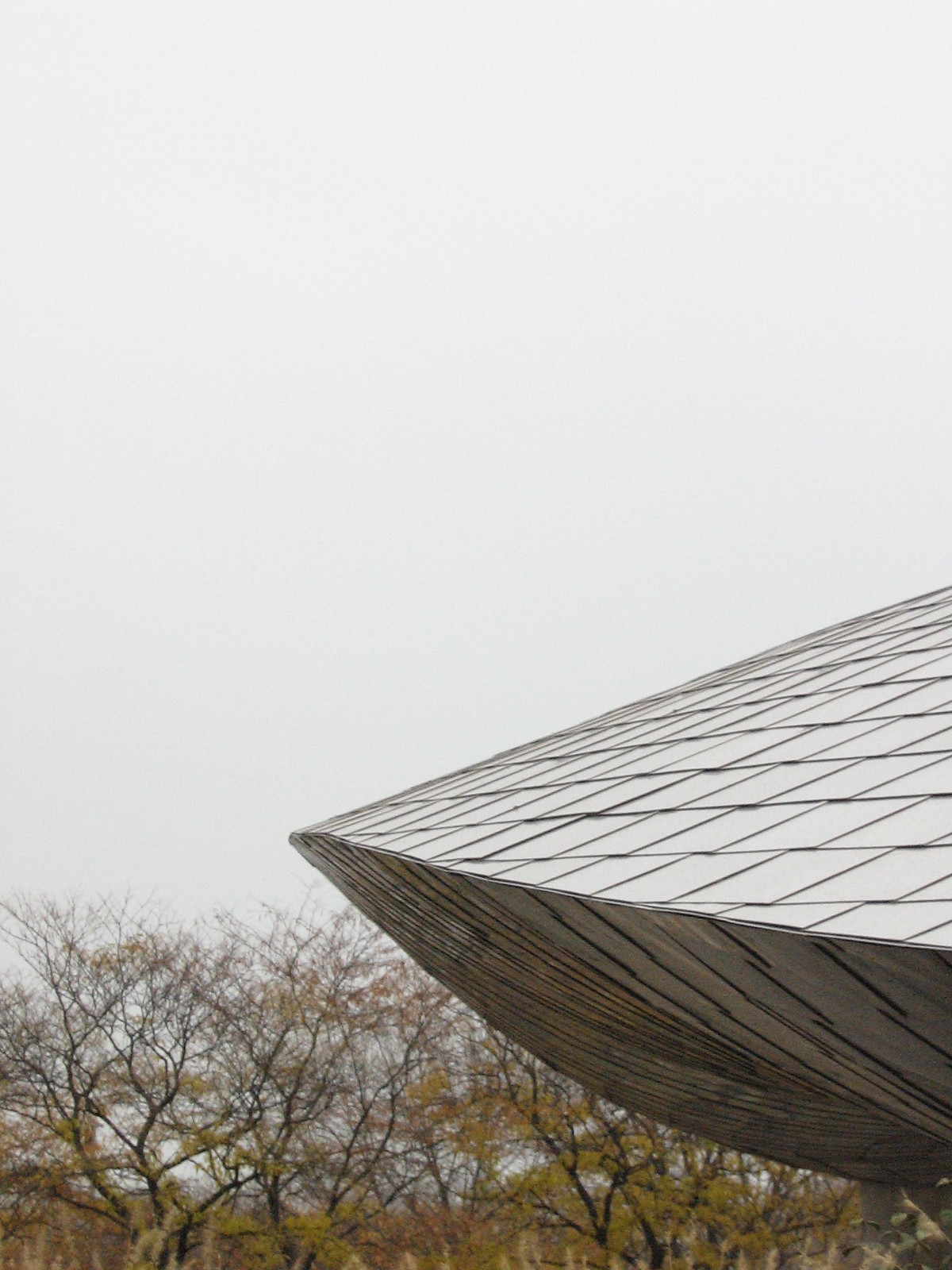 Angular metal-shingled roof edge of a Frank Gehry structure jutting over bare autumn trees under a grey sky