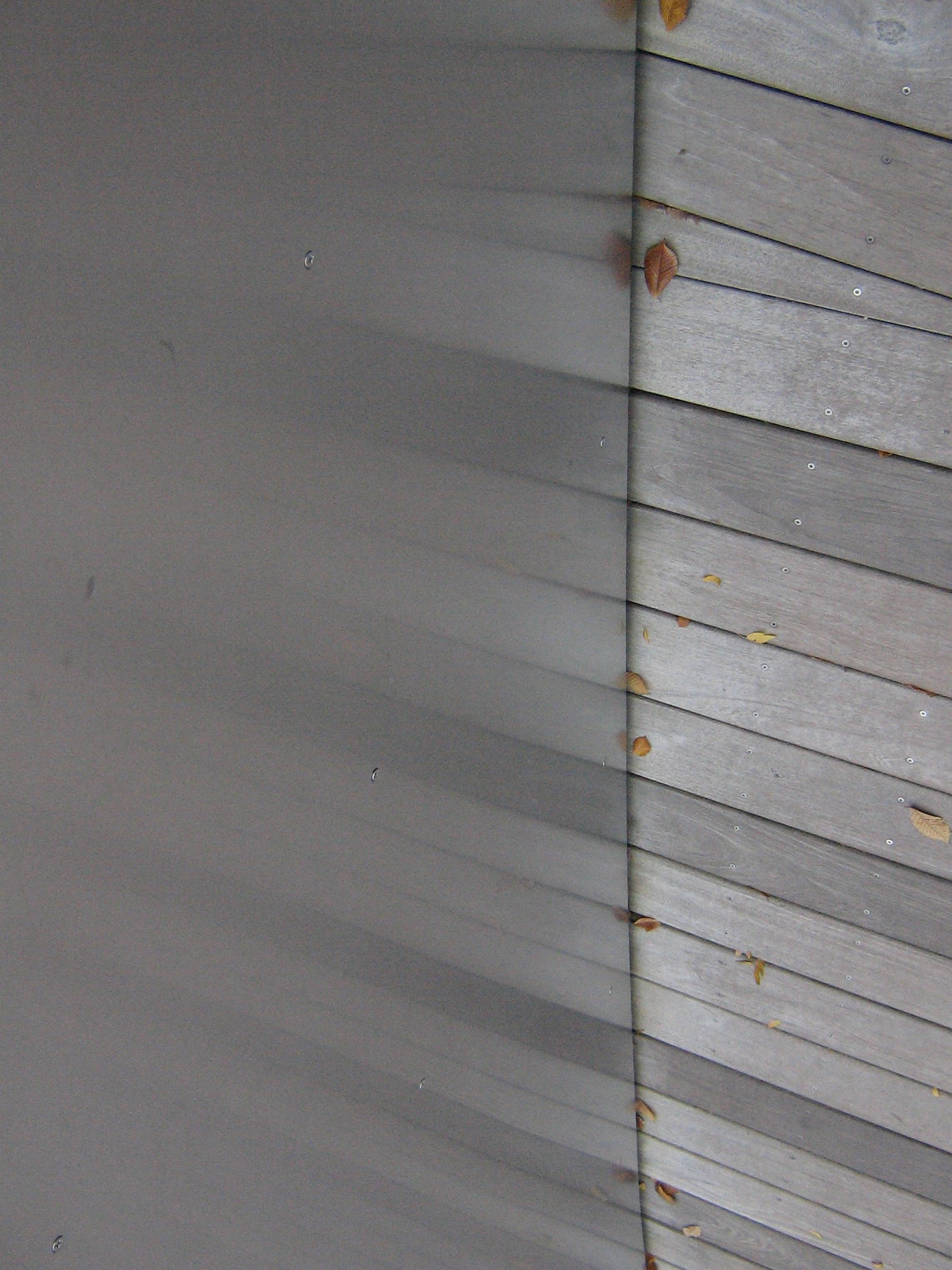 Weathered gray wooden deck boards scattered with fallen autumn leaves beside a smooth metal wall reflecting them.
