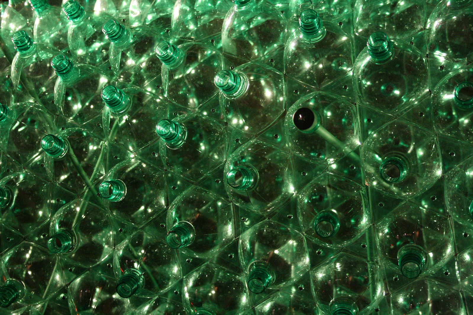 Densely packed clear and green plastic bottles fill the frame, forming a shimmering lattice sculpture.