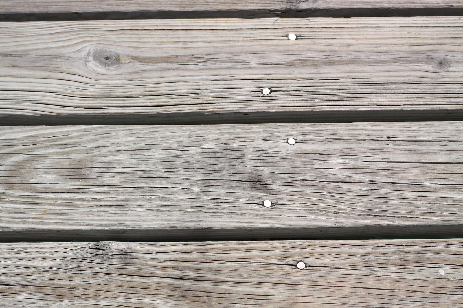 Weathered gray boardwalk planks marked by round metal nail heads in bright sunlight.