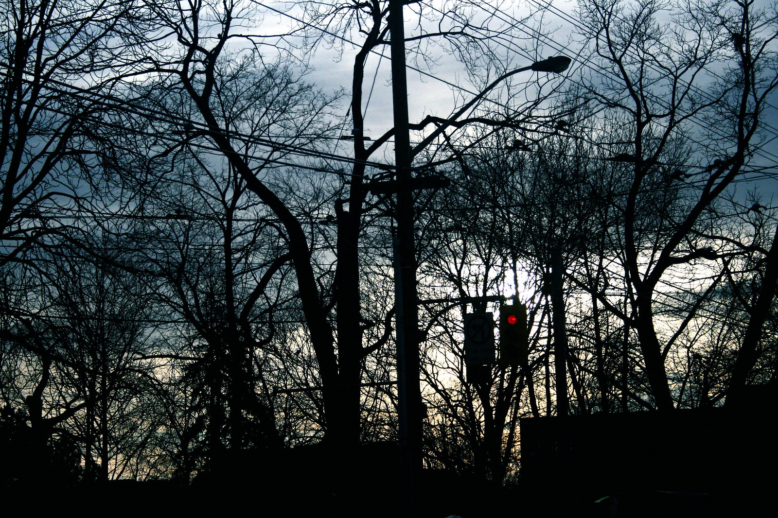 A red traffic light and no-turn sign glow against a dusky sky through silhouetted bare trees and power lines.