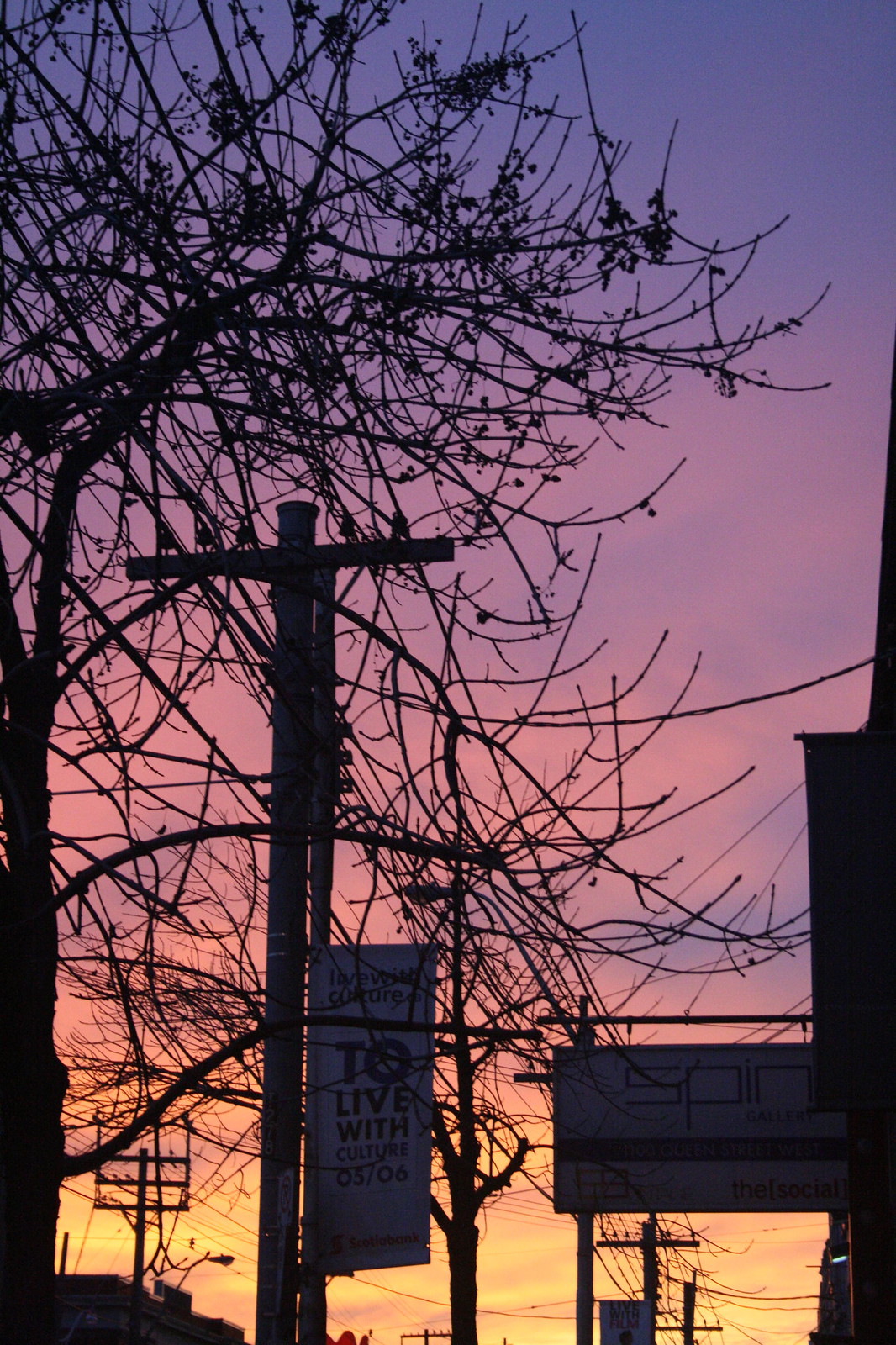 Bare trees silhouetted against a purple and orange sunset sky, with a "TO Live With Culture 05/06" banner and Spin Gallery sign on Queen Street West.