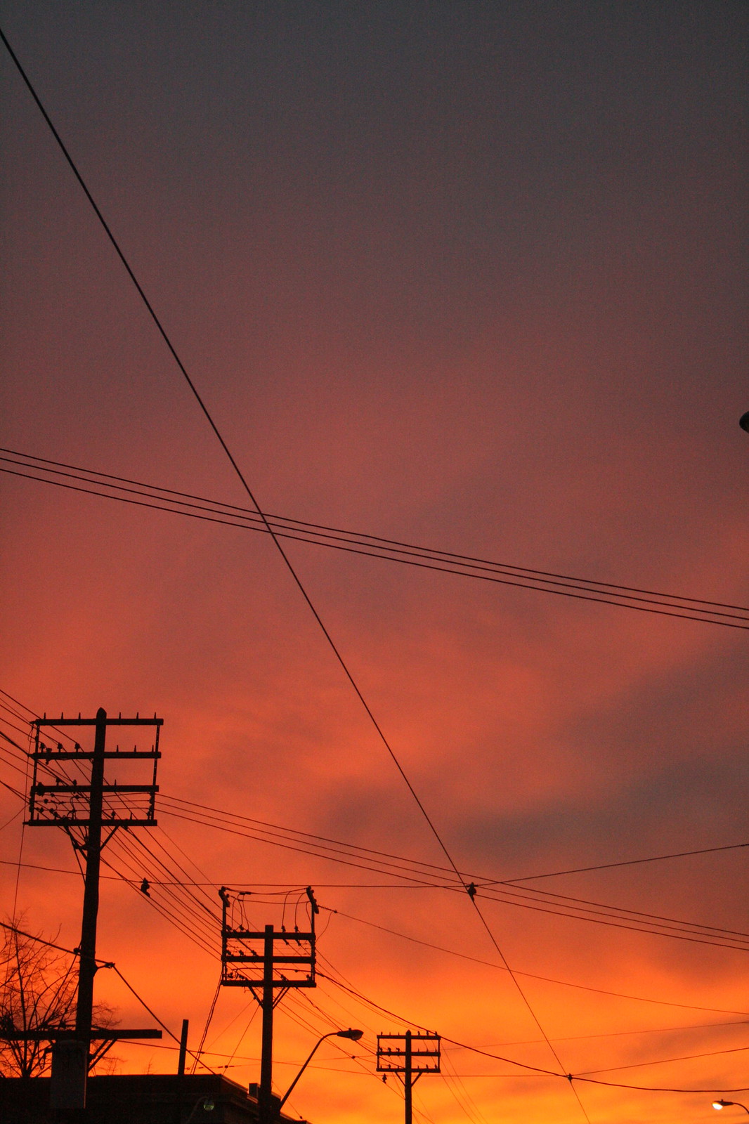 Silhouetted telephone poles and crossing power lines against a fiery orange and pink sunset sky.