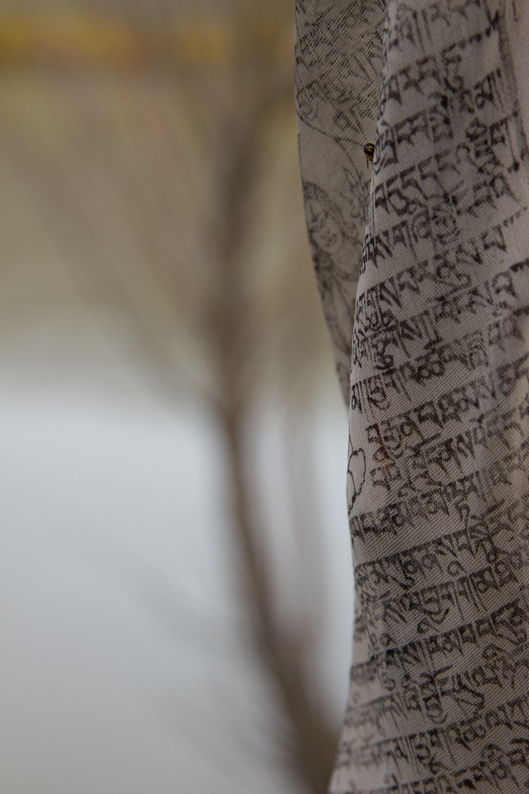 Tibetan scripture printed in dark ink on a pale prayer flag, with bare branches blurred behind.