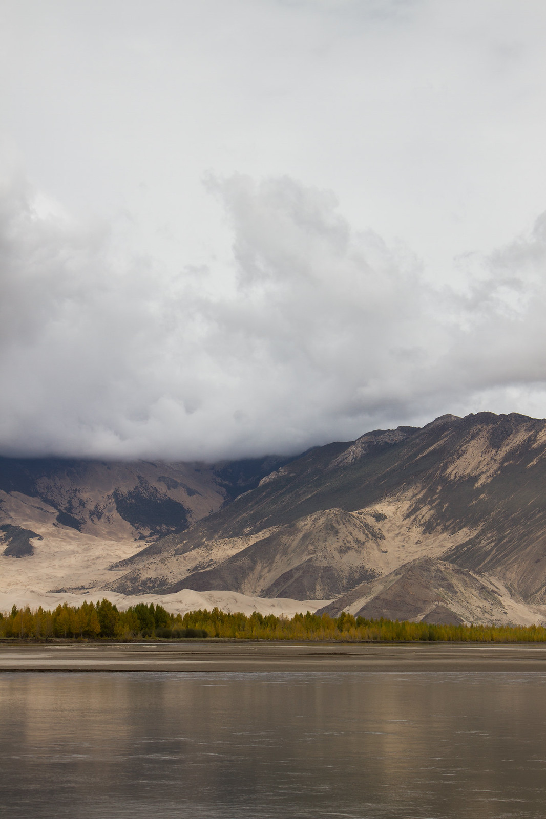 Storm clouds hang low over tan Tibetan mountains above a row of golden autumn trees and a wide river.