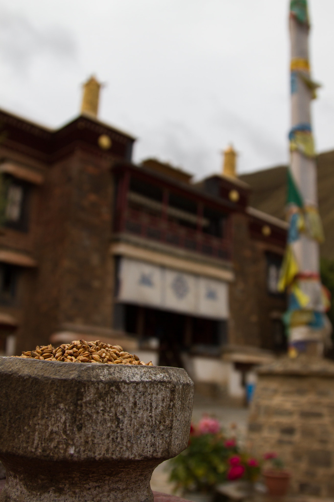 Barley heaped in a weathered stone offering bowl before a Tibetan monastery with prayer flags on a tall pole.