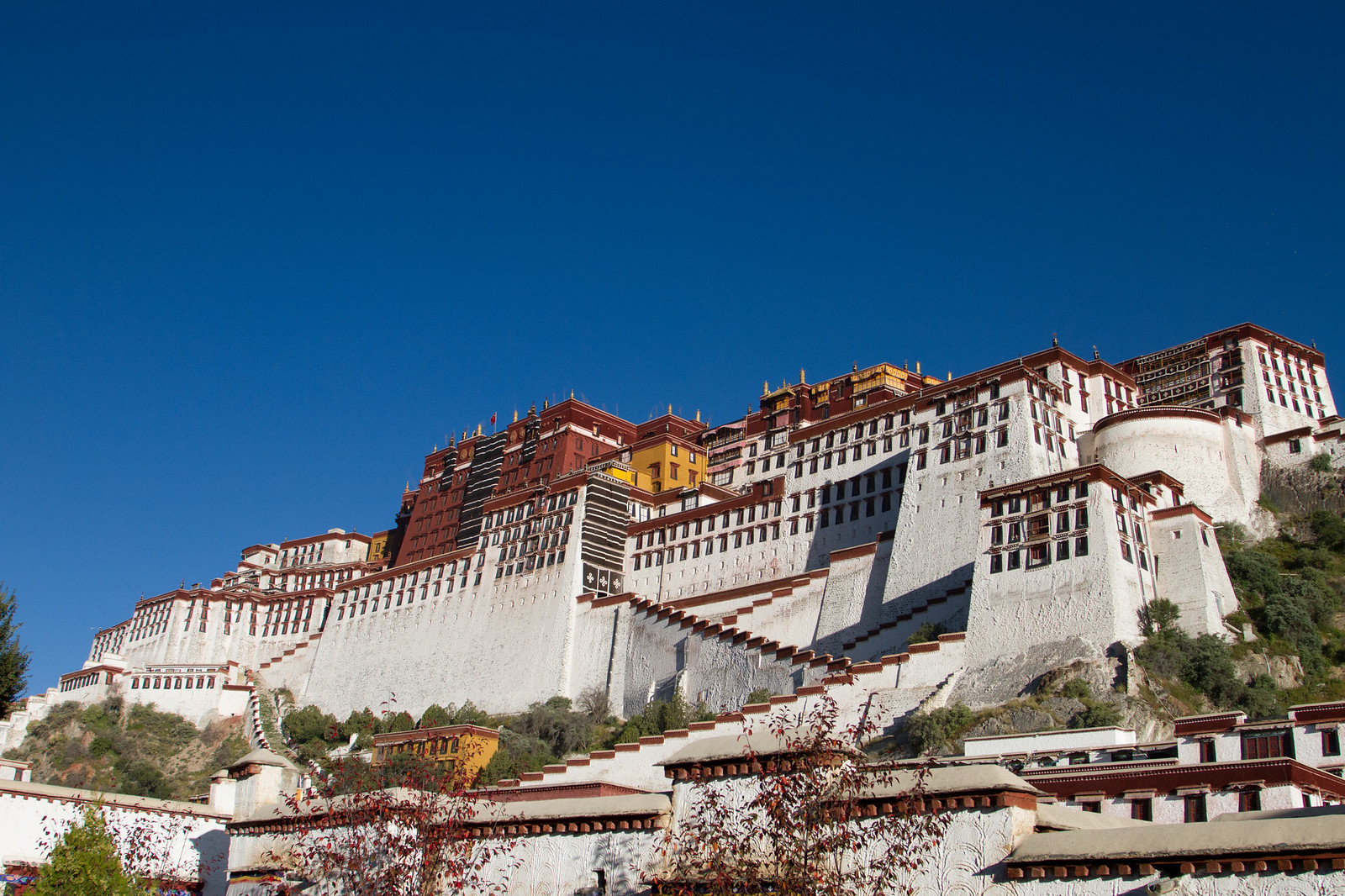The white and maroon Potala Palace rising up a hillside against a deep blue sky in Lhasa, Tibet