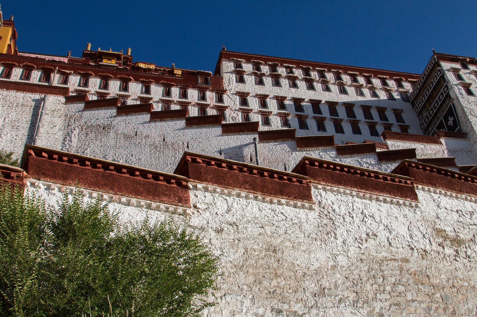 Whitewashed walls of the Potala Palace rising against a deep blue Tibetan sky, with a tree at lower left.