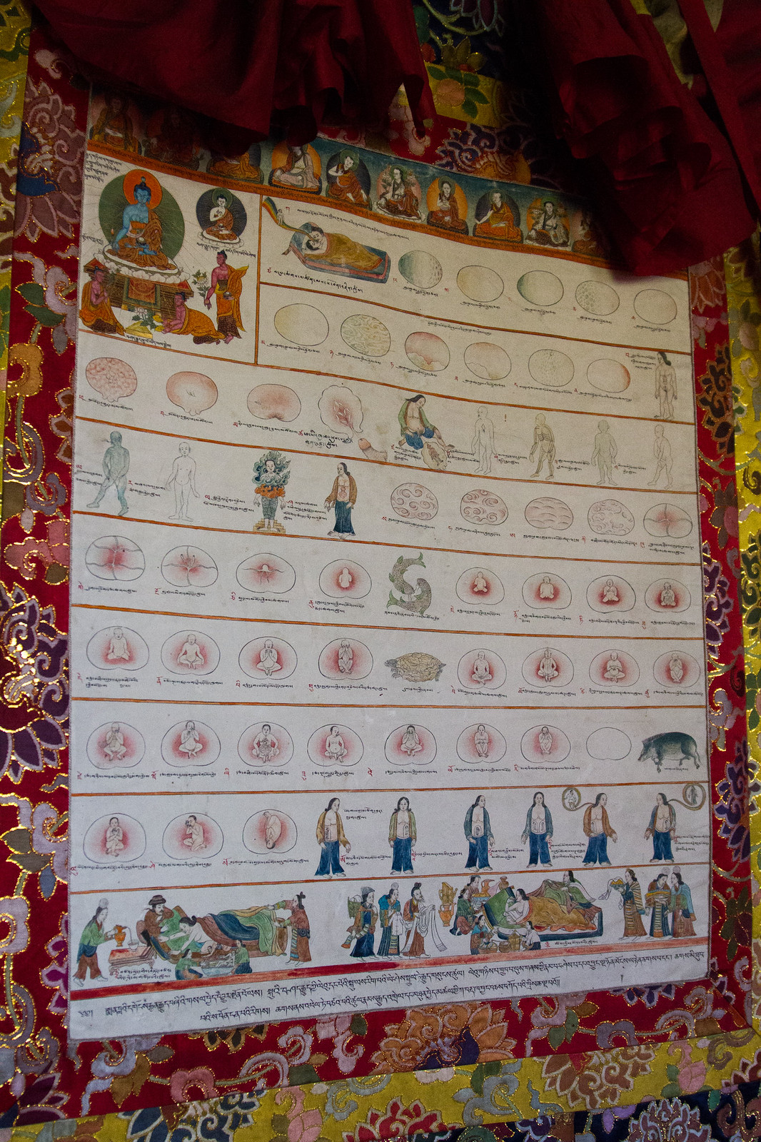 Tibetan medical thangka with brocade border illustrating embryonic development stages and childbirth, annotated in Tibetan script.
