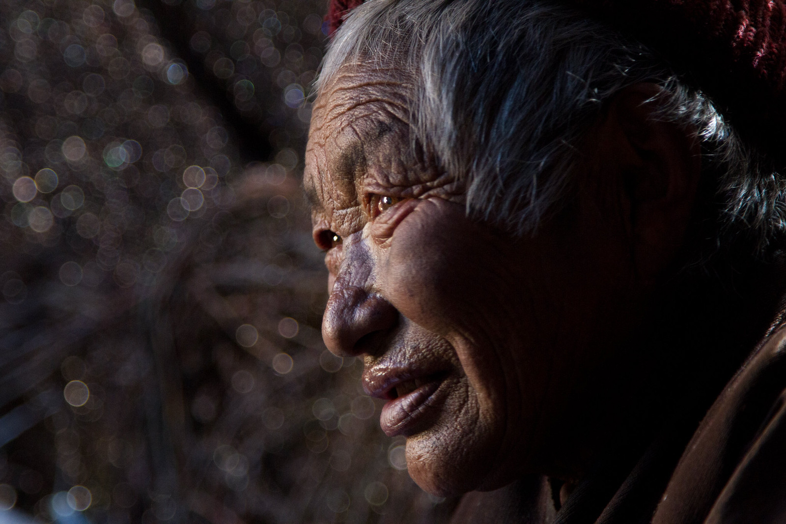 Close-up profile of a weathered elderly Tibetan person with grey hair, lit warmly against a dark bokeh background.