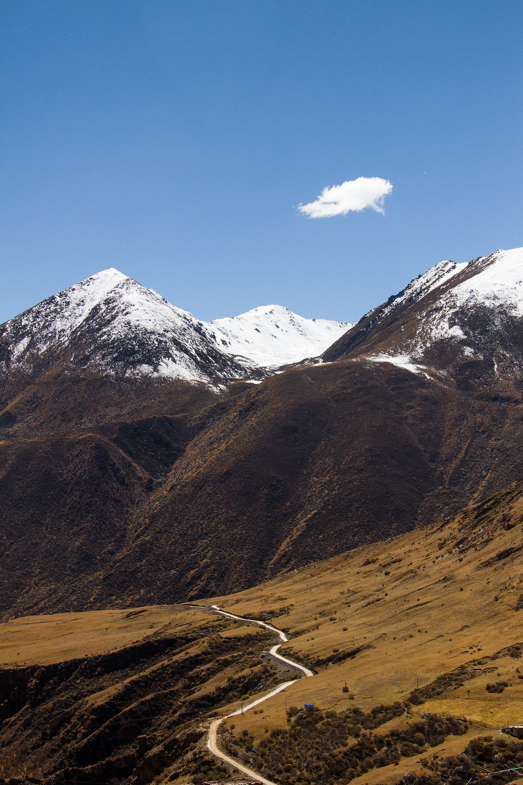 A winding dirt road climbs golden hills toward snow-capped peaks under a deep blue sky with a single cloud.