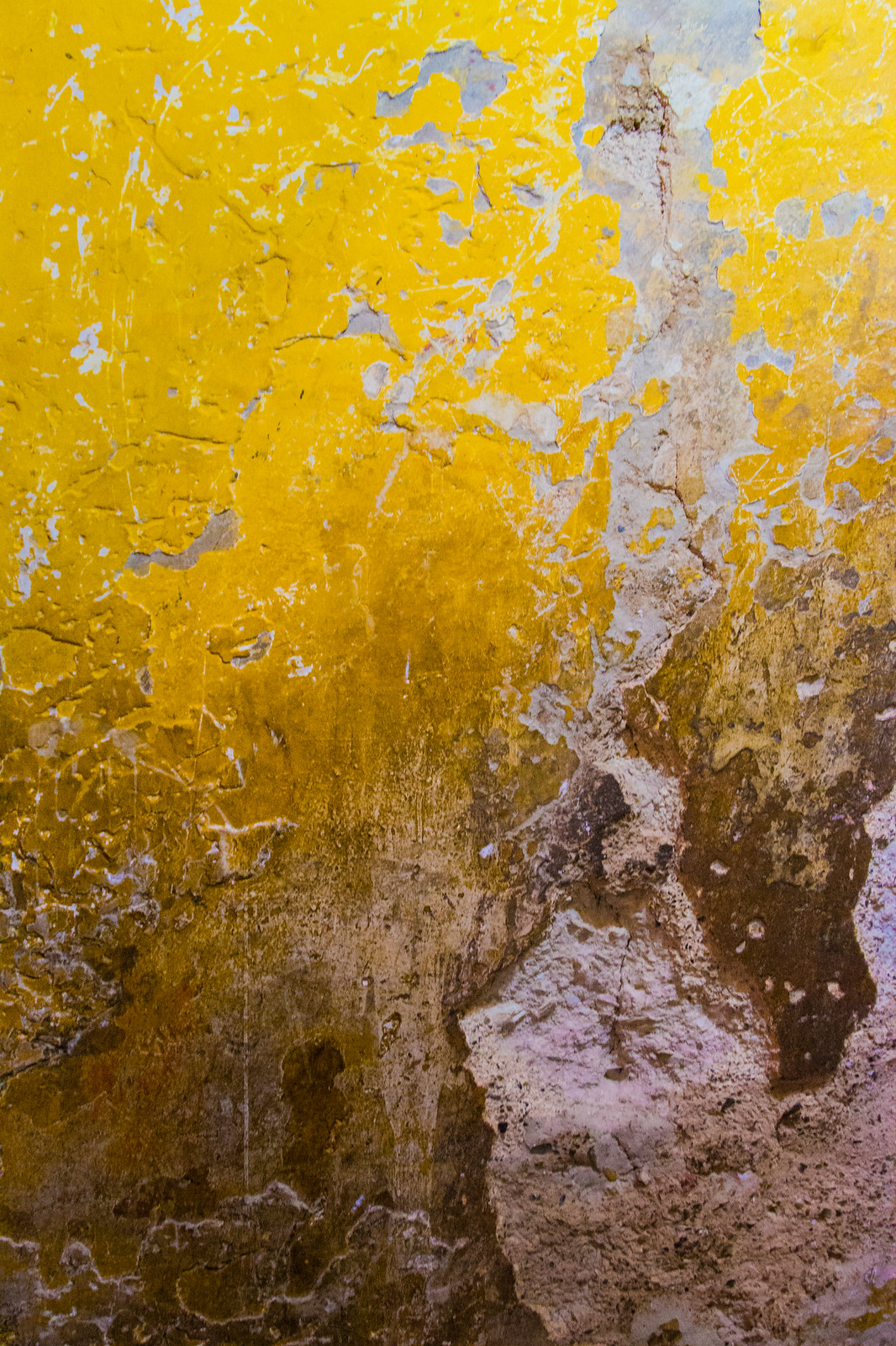 Sun-lit weathered plaster wall with peeling golden-yellow paint fading into bare, cracked concrete.