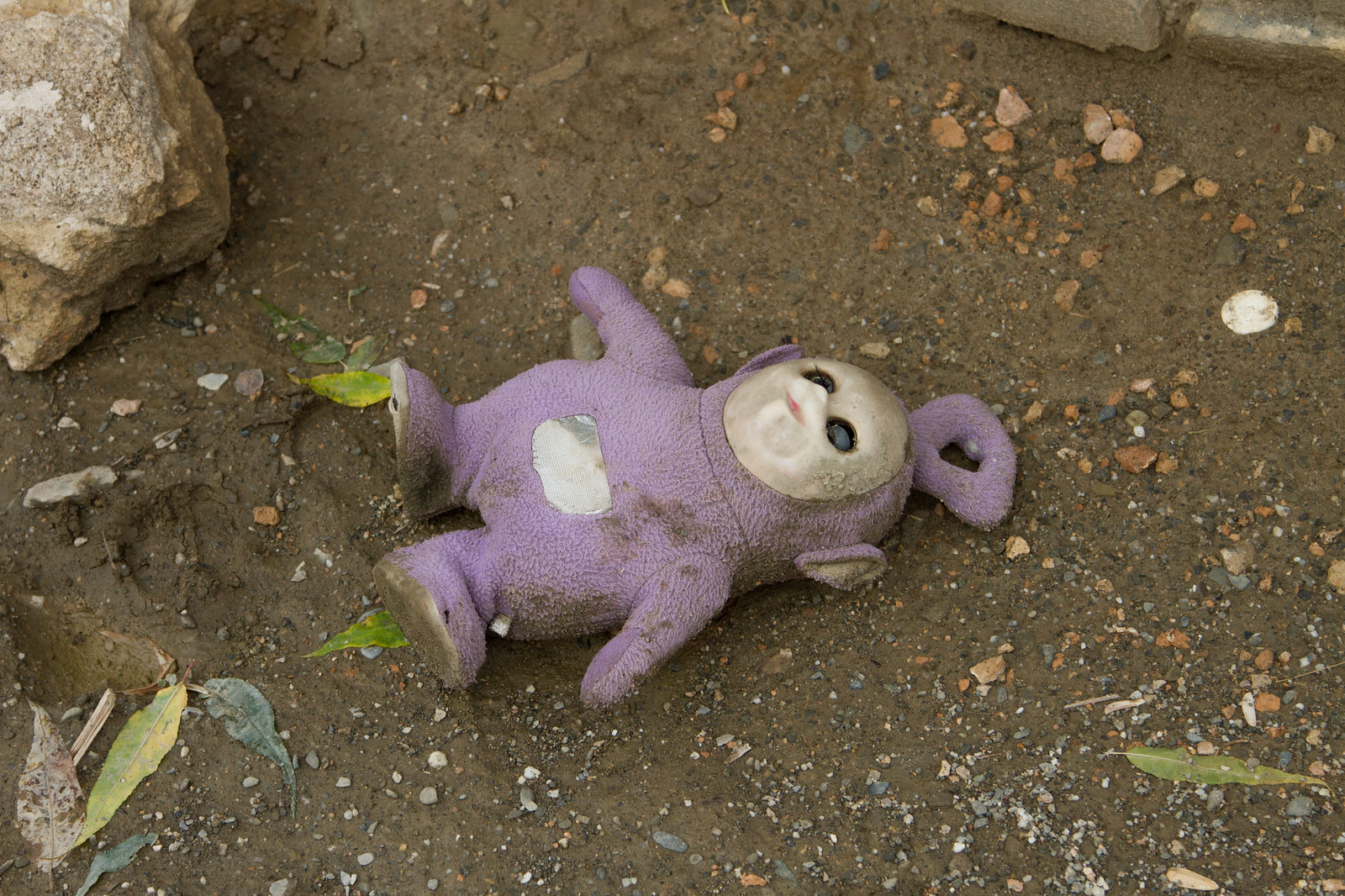 A discarded purple Teletubby toy lying face-up in dirt among scattered pebbles and dry leaves.