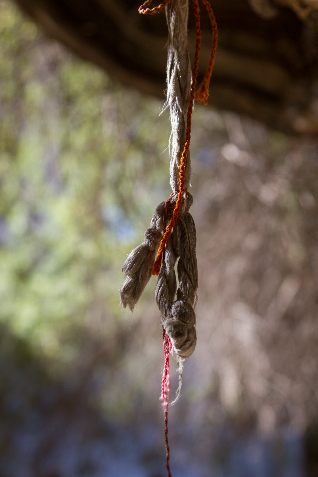 Weathered woven cord knotted with orange and red threads, hanging against a soft-focus forest backdrop.