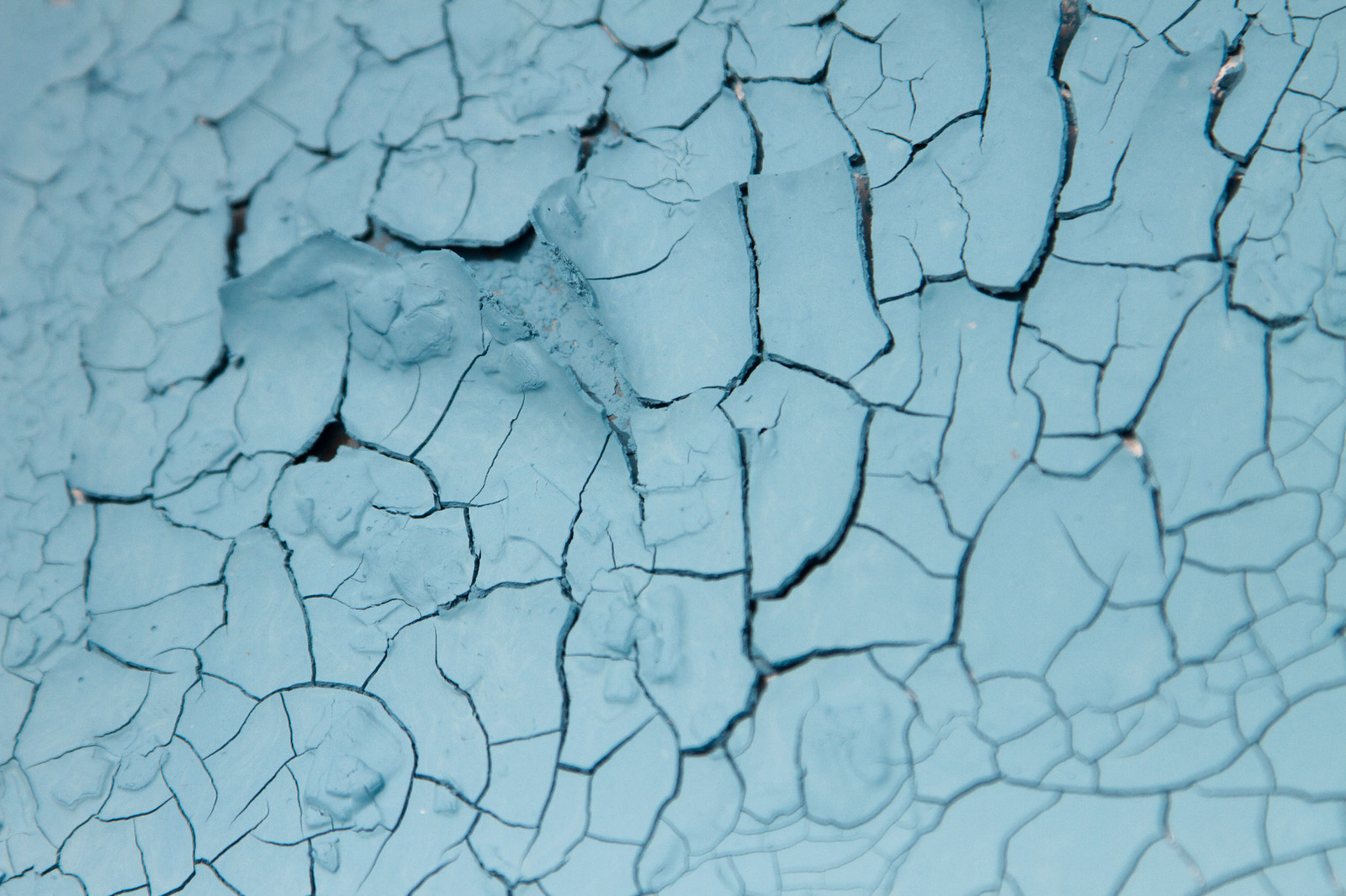 Close-up of cracked and peeling pale blue paint forming a mosaic of flaking fragments.