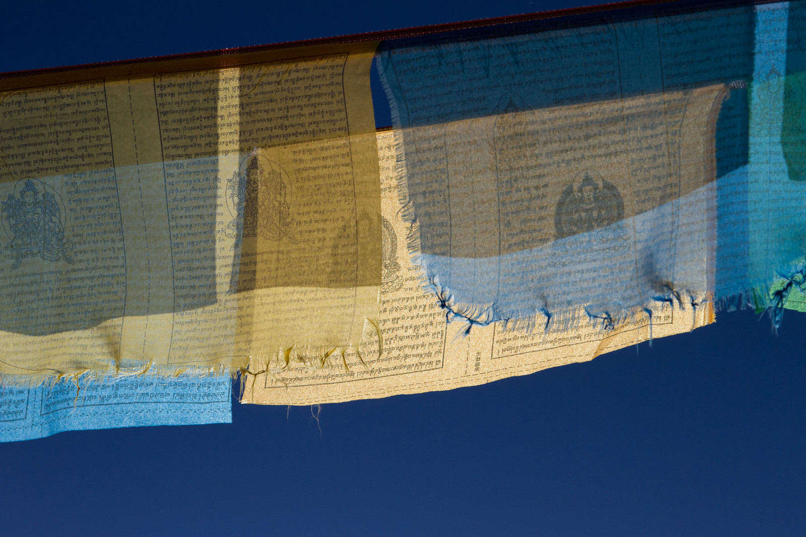 Sunlit Tibetan prayer flags printed with scripture and Buddha figures against a deep blue sky.