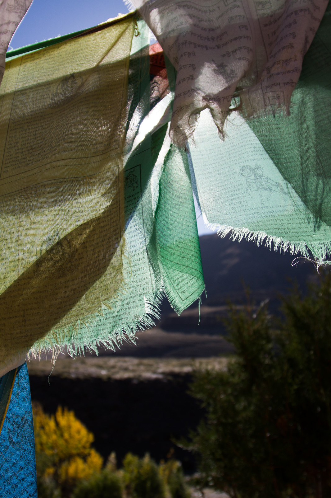 Sunlit Tibetan prayer flags printed with scripture and a wind horse, strung above a hazy mountain valley.