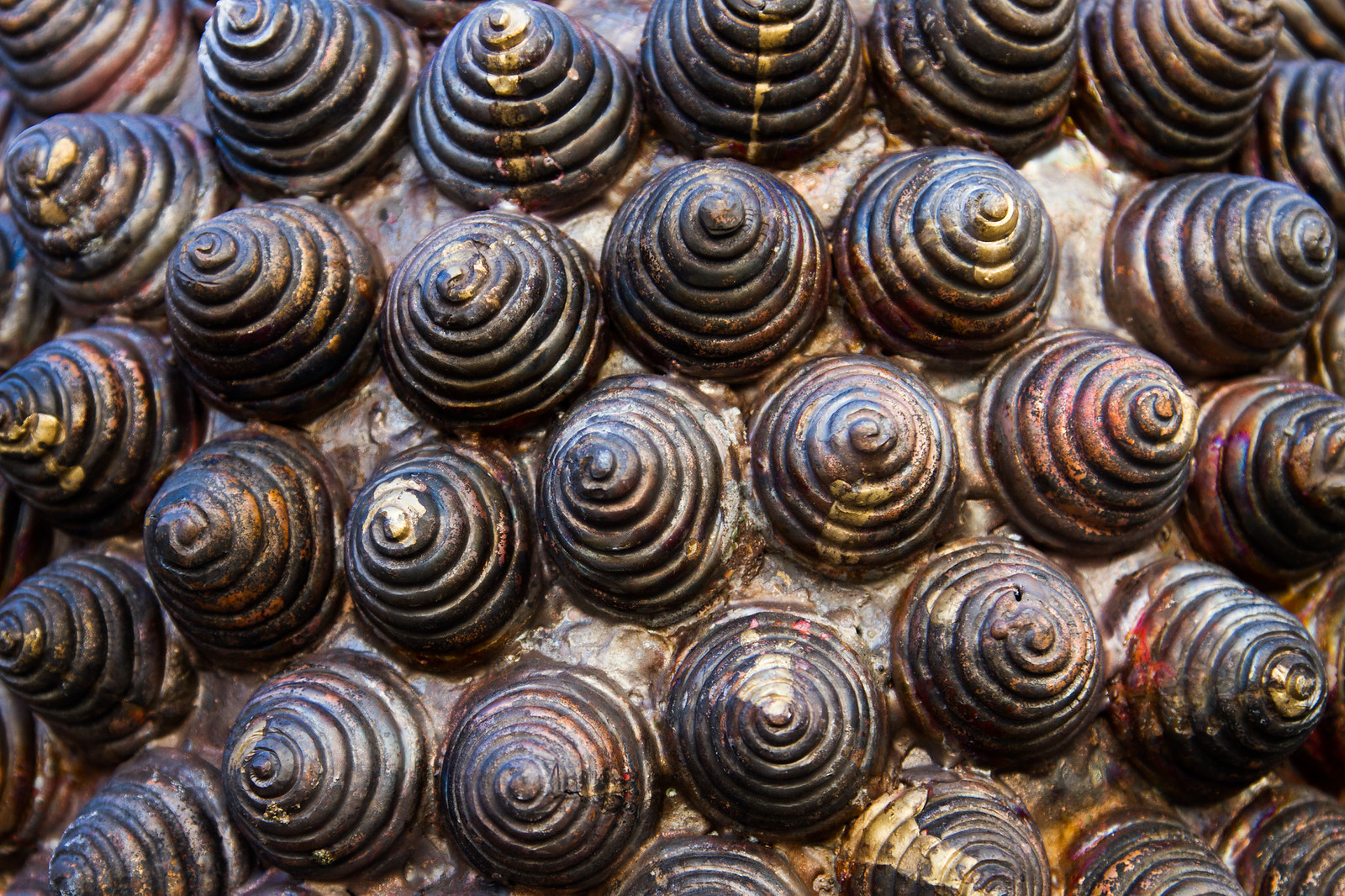 Rows of ornate spiral-carved bronze snail-curl knots covering a Buddha statue's head, weathered with gold traces.