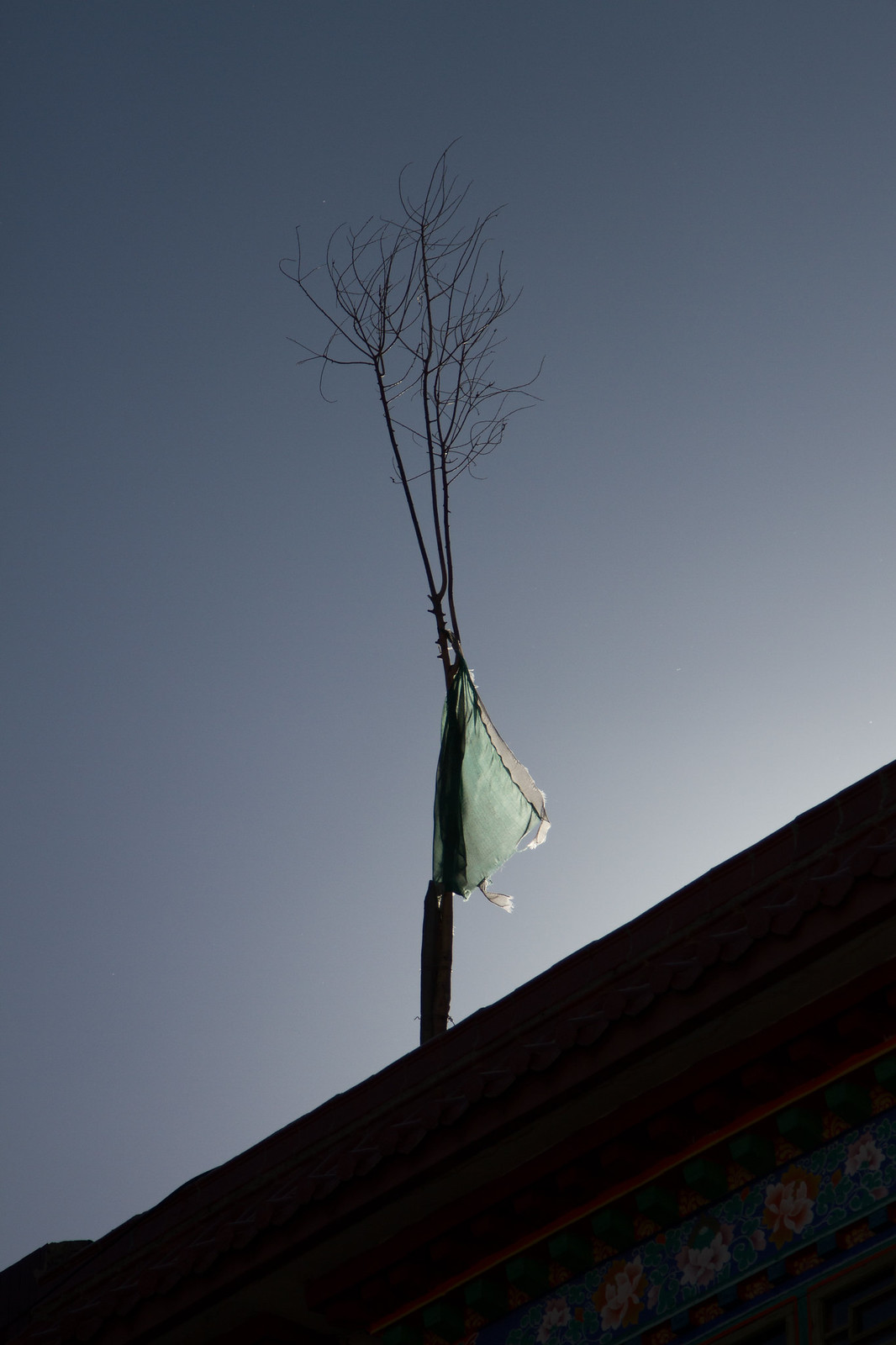 A tattered green prayer flag and bare branch rise from a painted Tibetan rooftop against a blue sky.